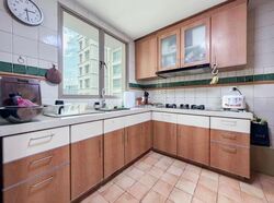 The Rivervale (D19), Condominium #523249561